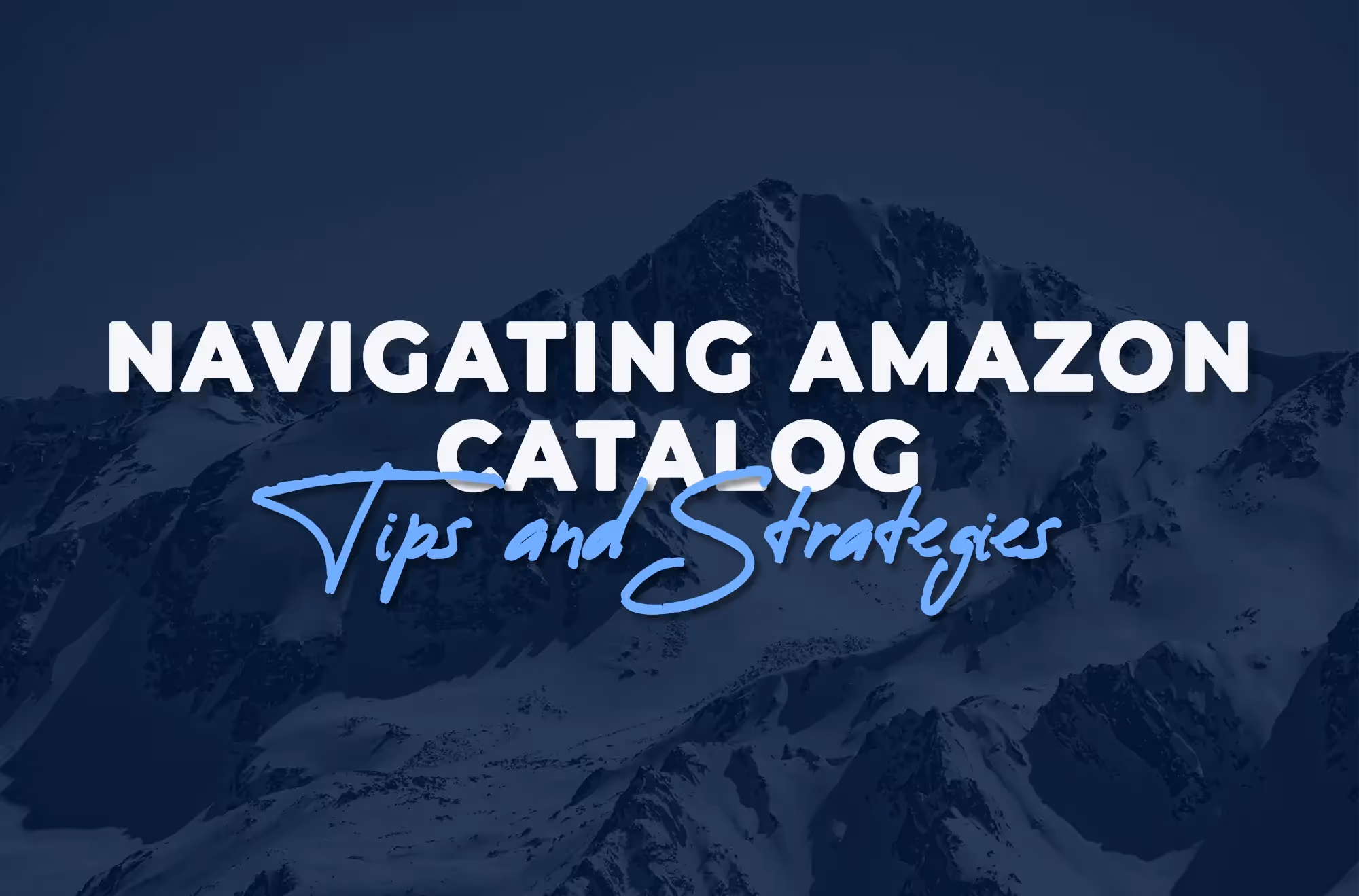 Navigating Amazon Catalogs: Expert Tips and Strategies for Sellers